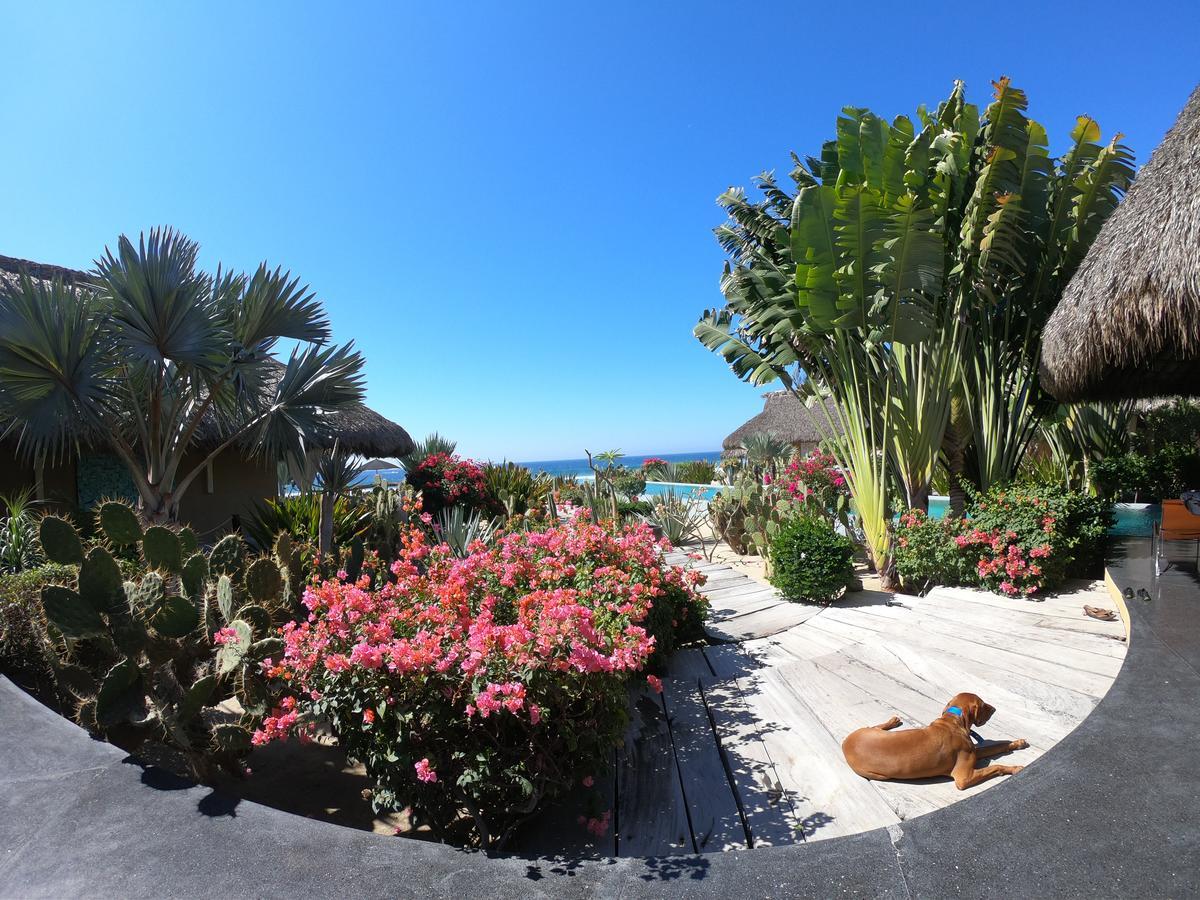 Samora Luxury Resort Santa Maria Colotepec Ngoại thất bức ảnh