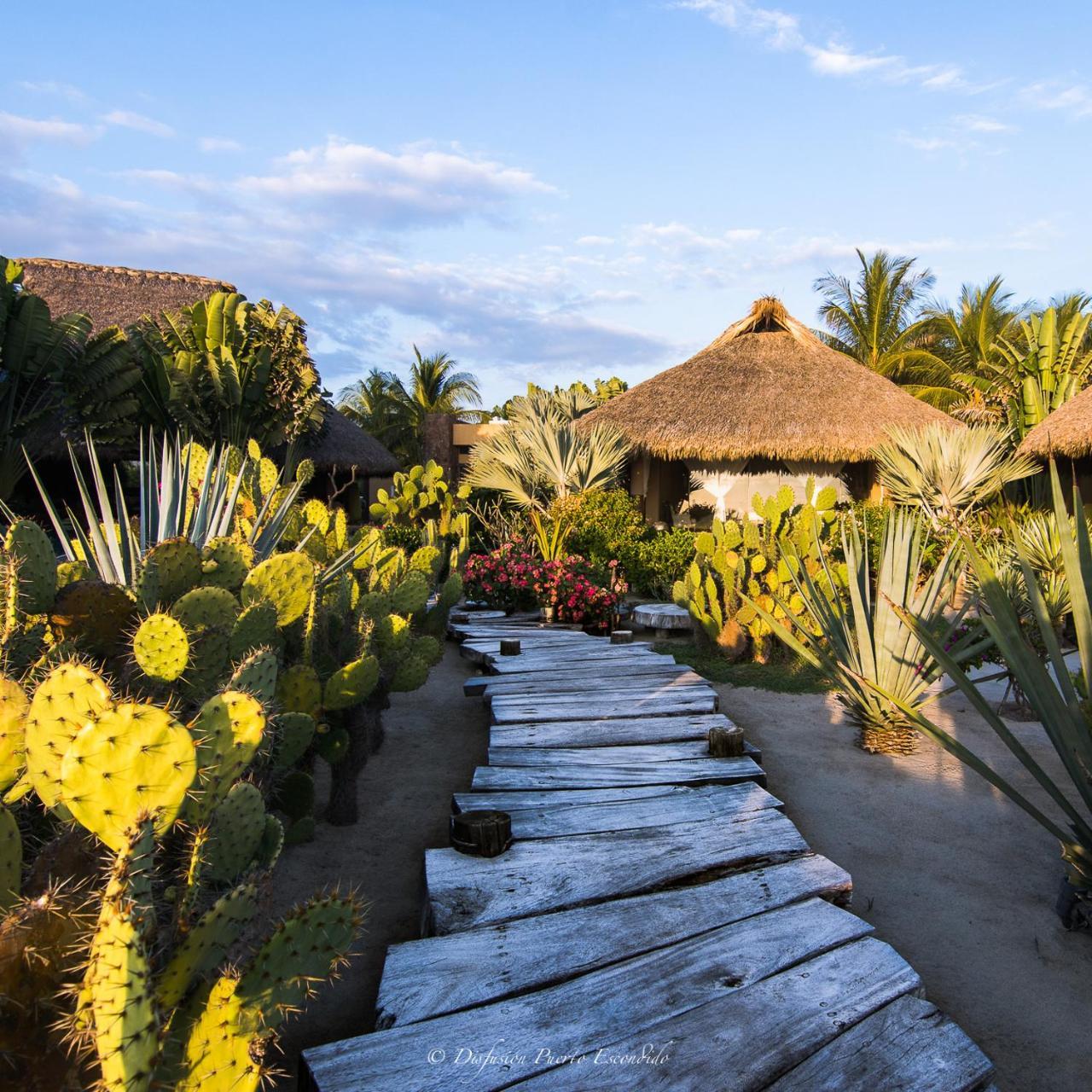 Samora Luxury Resort Santa Maria Colotepec Ngoại thất bức ảnh